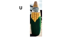corn-balloon-crop-300x154-0fef6 (1)